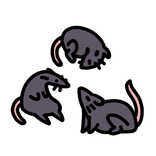 Actual rats